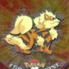 Arcanine - 59 - Topps - Chrome series 1 - front